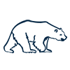 niedźwiedź Eduscience